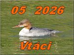vtaci 2026